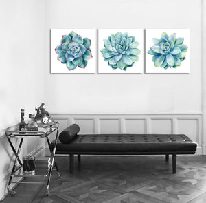 Pine Stretched  Framed 3 Panels - Succulents