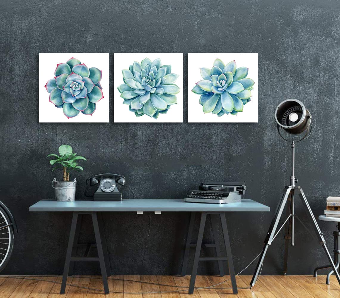 Pine Stretched  Framed 3 Panels - Succulents