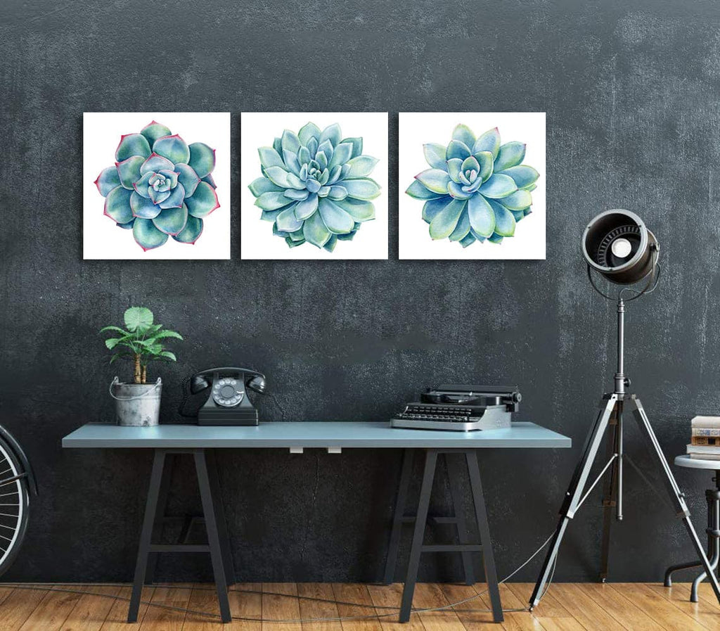 Pine Stretched  Framed 3 Panels - Succulents