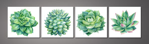 Pine Stretched  Framed 4 Panels - Succulents