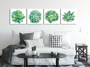 Pine Stretched  Framed 4 Panels - Succulents