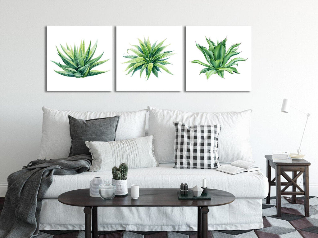 Pine Stretched  Framed 3 Panels - Succulents