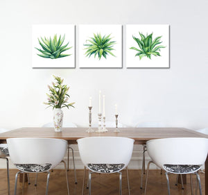 Pine Stretched  Framed 3 Panels - Succulents