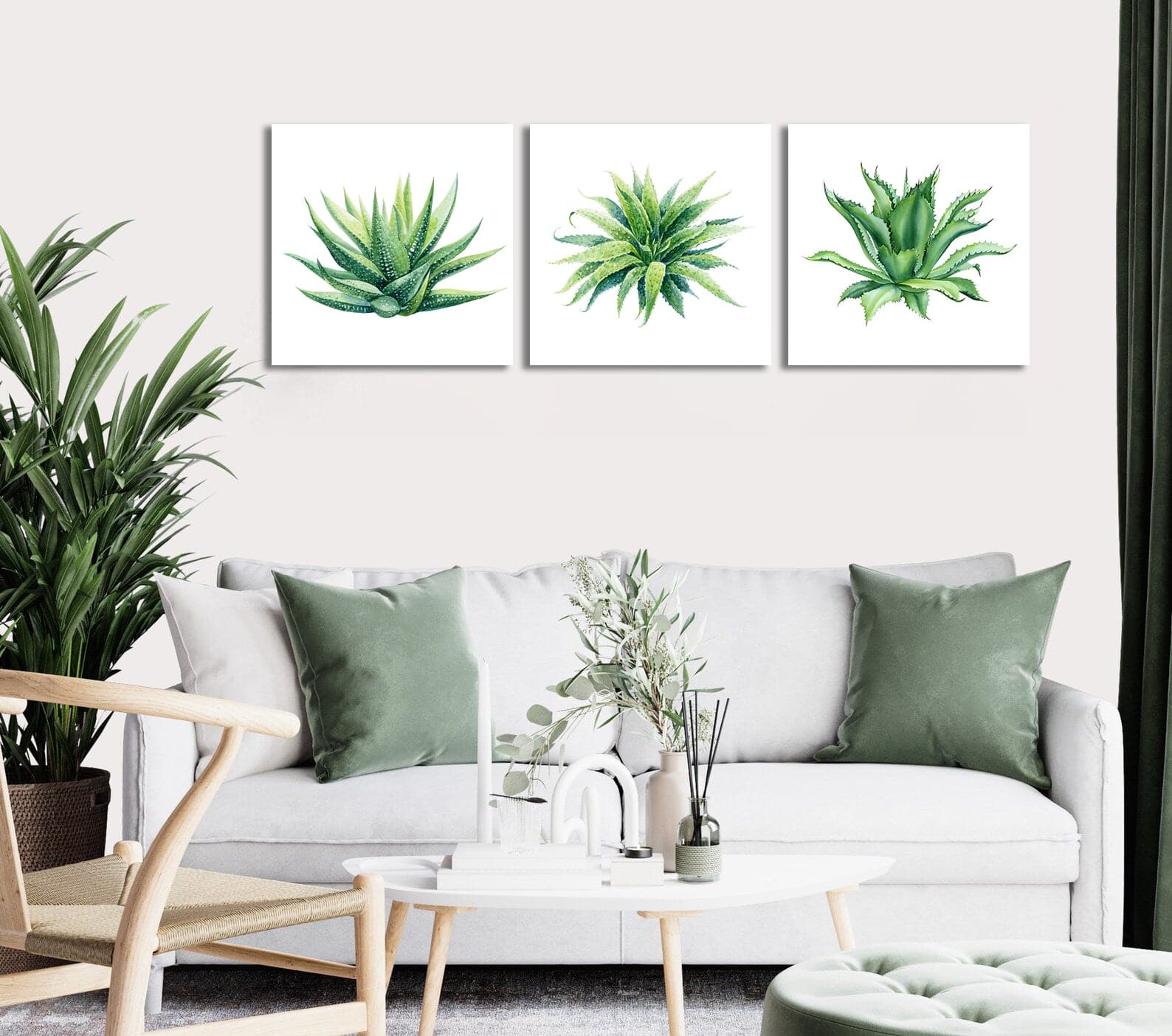 Pine Stretched  Framed 3 Panels - Succulents