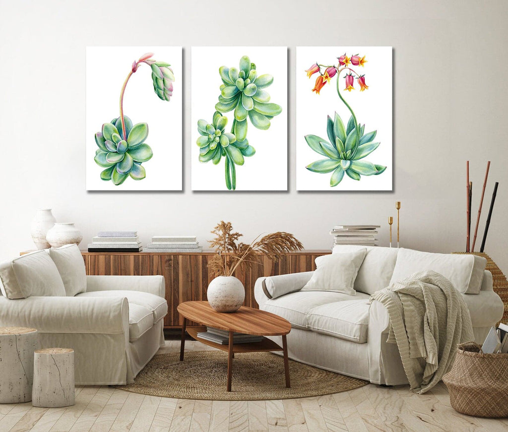 Pine Stretched  Framed 3 Panels - Succulents