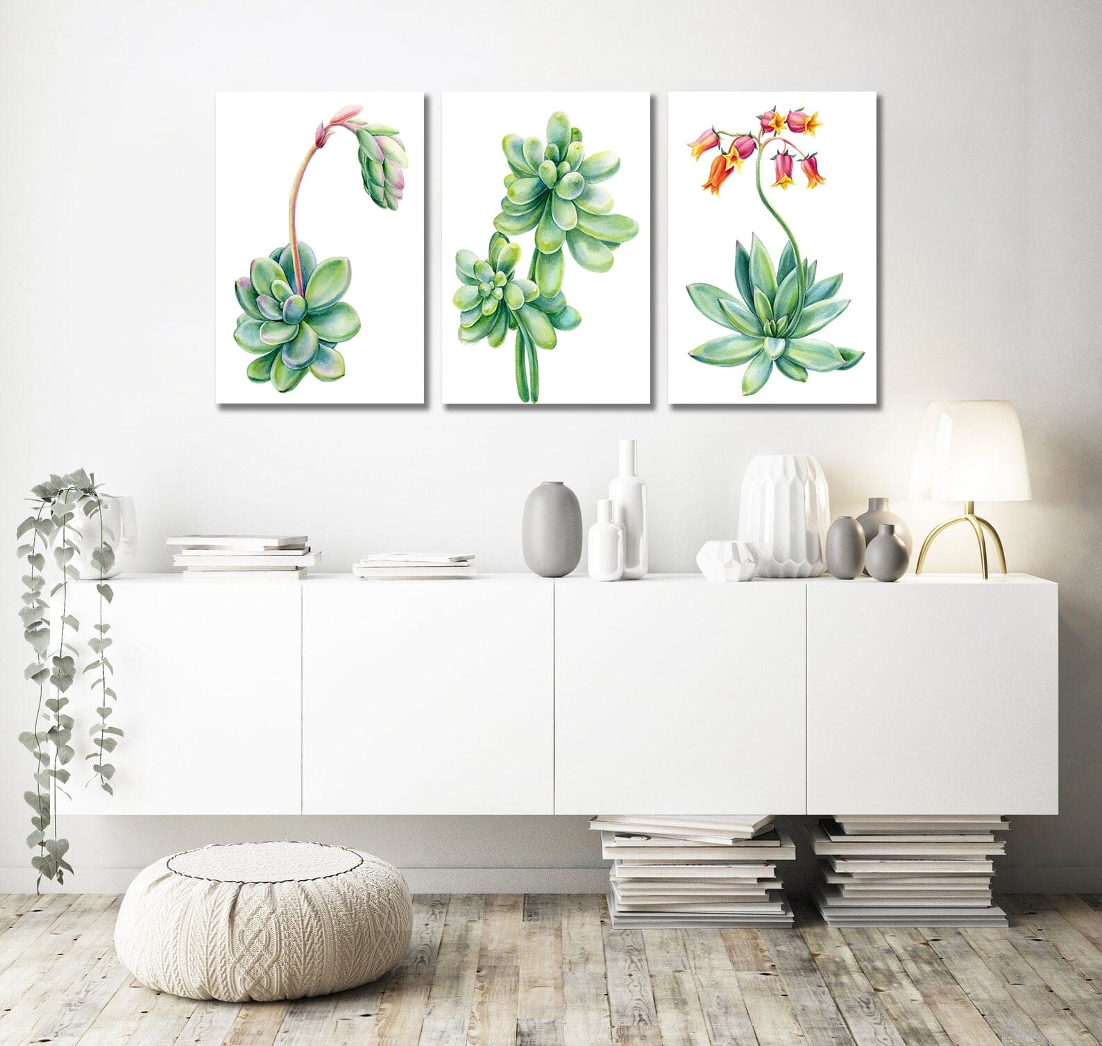 Pine Stretched  Framed 3 Panels - Succulents