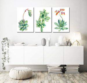 Pine Stretched  Framed 3 Panels - Succulents