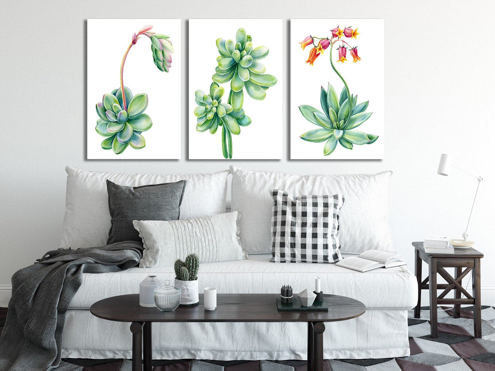 Framed 3 Panels - Succulents
