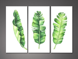 Pine Stretched  Framed 3 Panels  - Tropical Banana Leaves Set