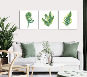 Framed 3 Panels - Ferns