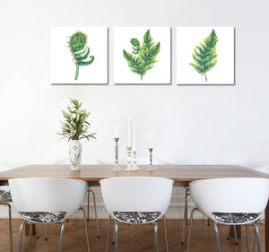 Framed 3 Panels - Ferns