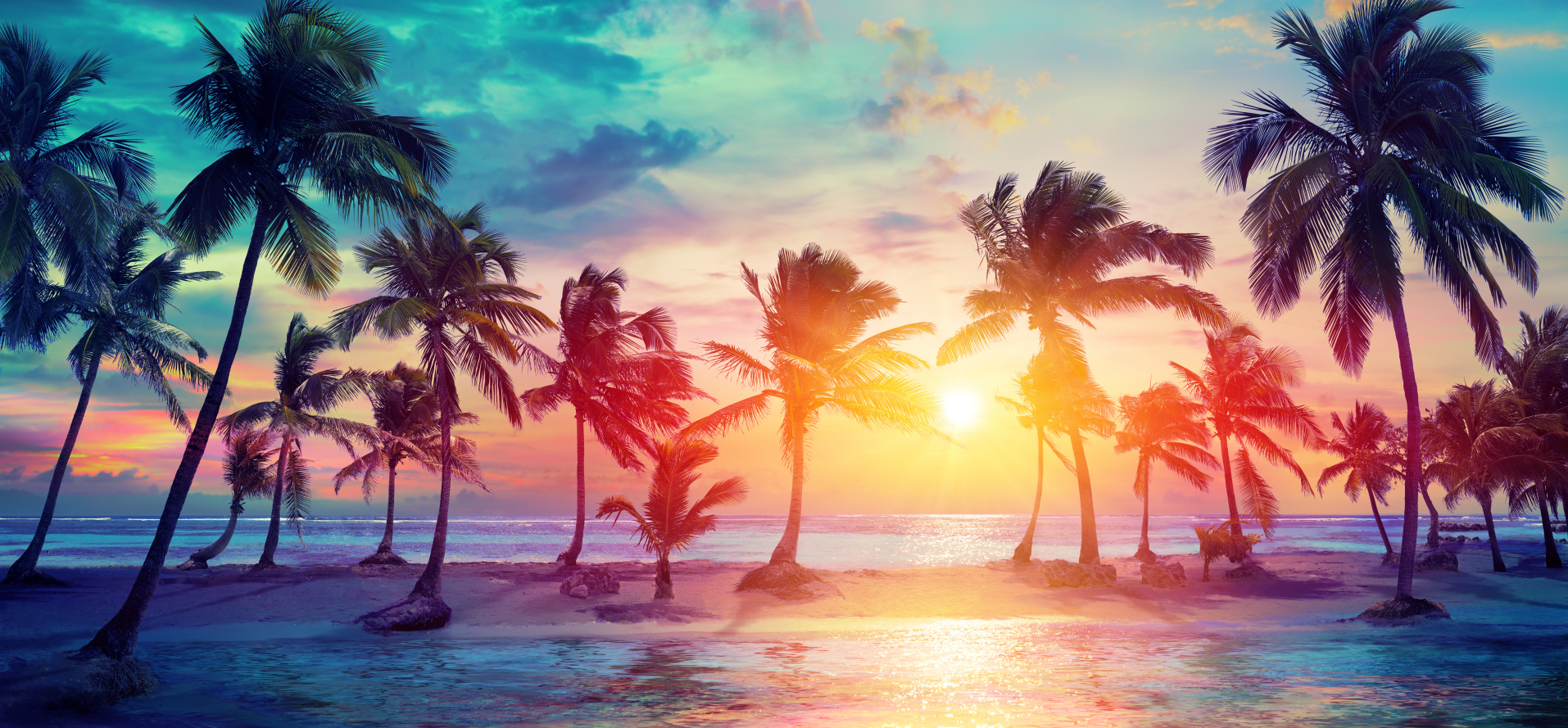 Pine Stretched  Framed 1 Panel - Palm Trees Silhouettes On Tropical Beach
