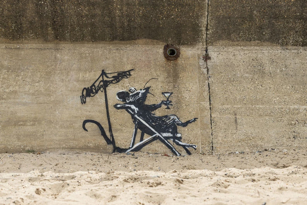 Framed 1 Panel - Banksy - Rat in a Deck