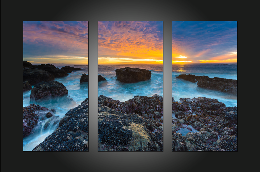 Pine Stretched  Framed 3 Panels - NZ Seascape
