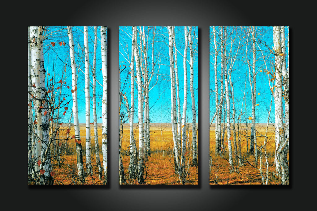 Pine Stretched  Framed 3 Panels -Tree