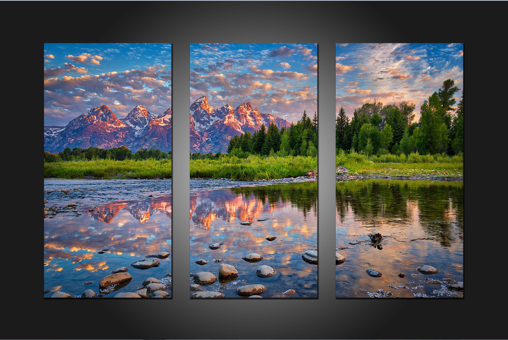 Pine Stretched  Framed 3 Panels - New Zealand South Island