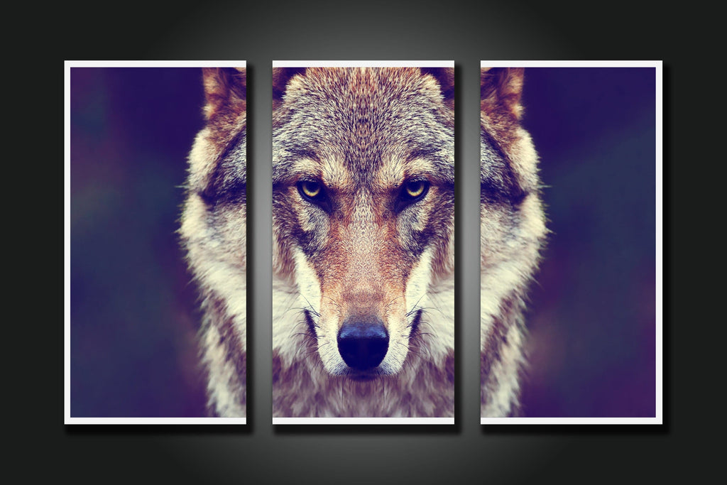 Pine Stretched  Framed 3 Panels - Wolf