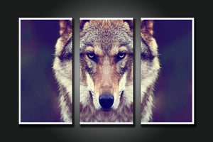 Framed 3 Panels - Wolf