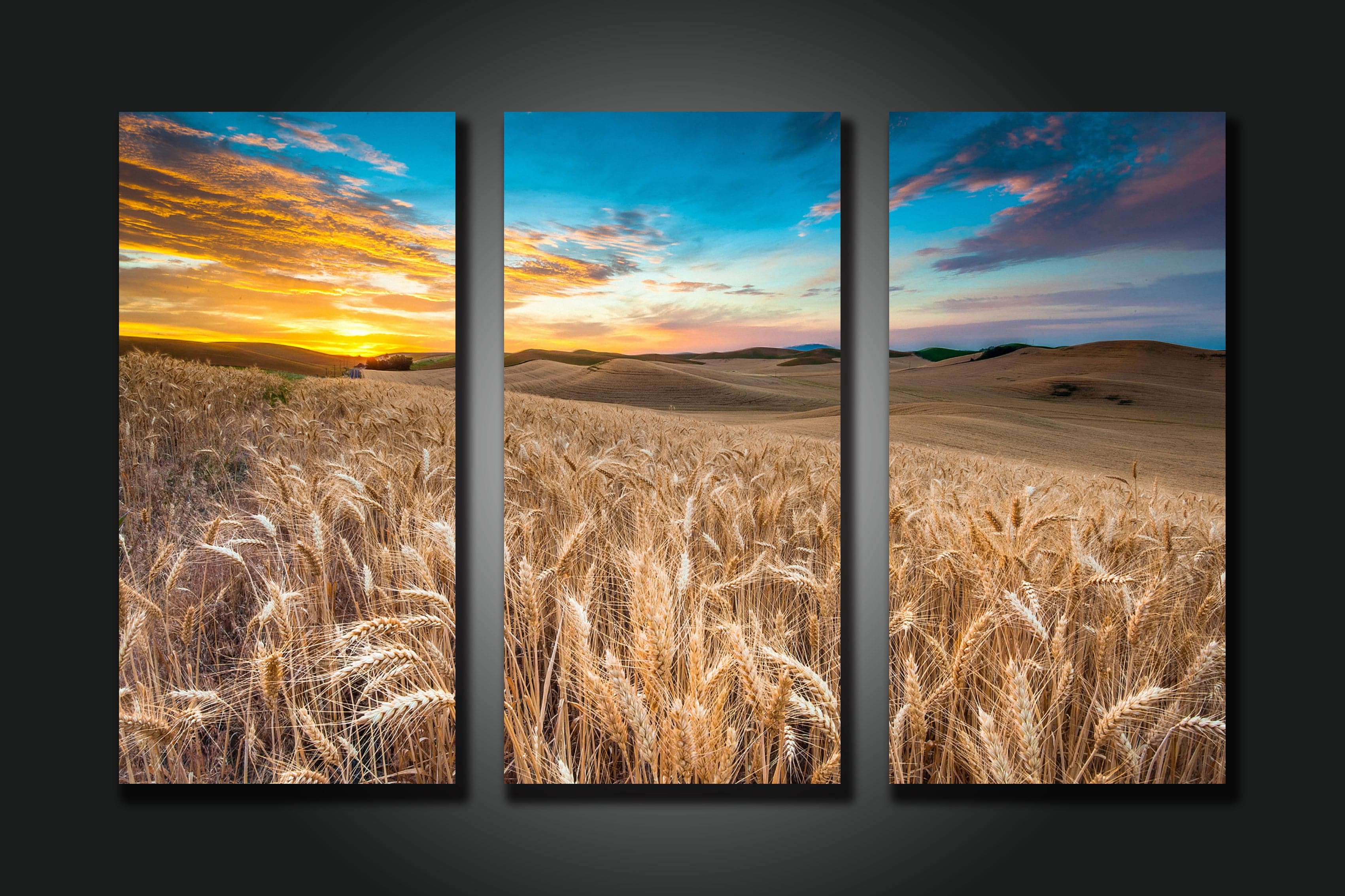 Framed 3 Panels - Wheat Field
