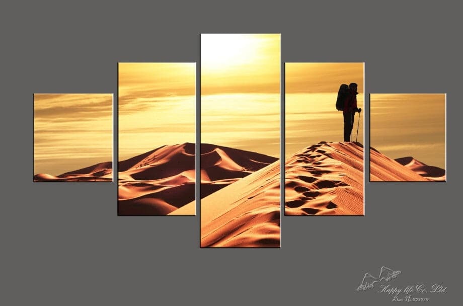 Framed 5 Panels - Desert