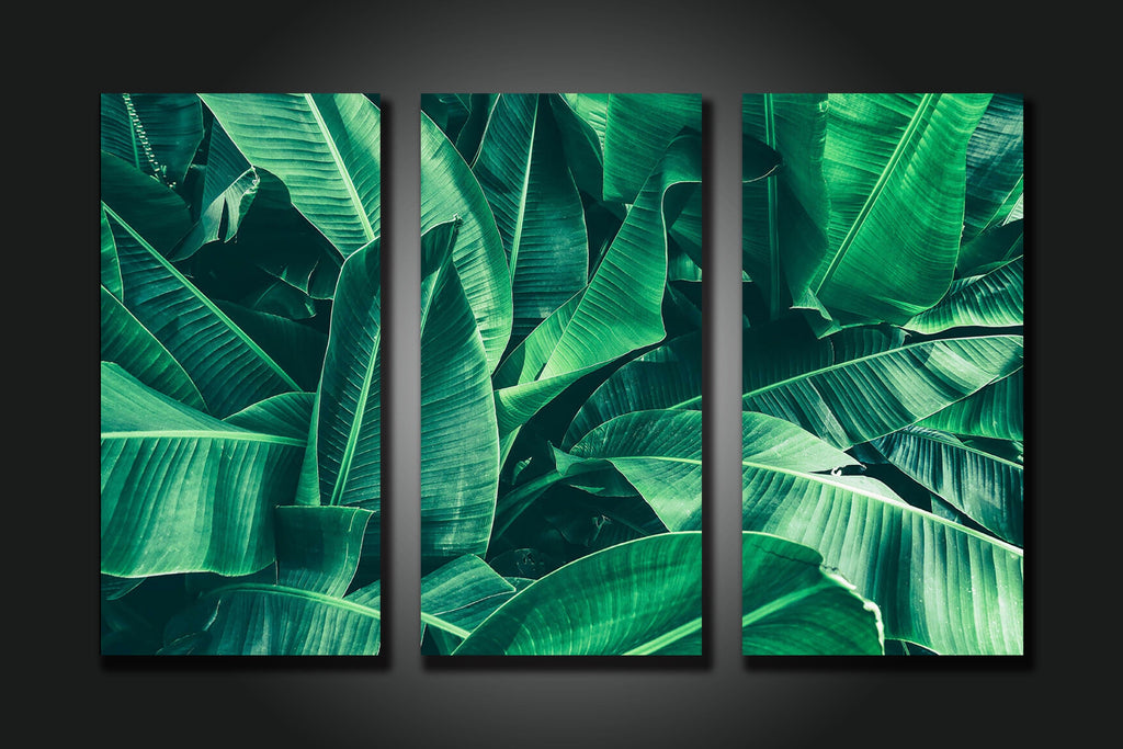 Pine Stretched  Framed 3 Panels - Banana Leaf