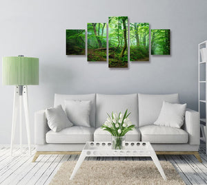 Framed 5 Panels - Forest