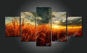 Framed 5 Panels - Wheat Field