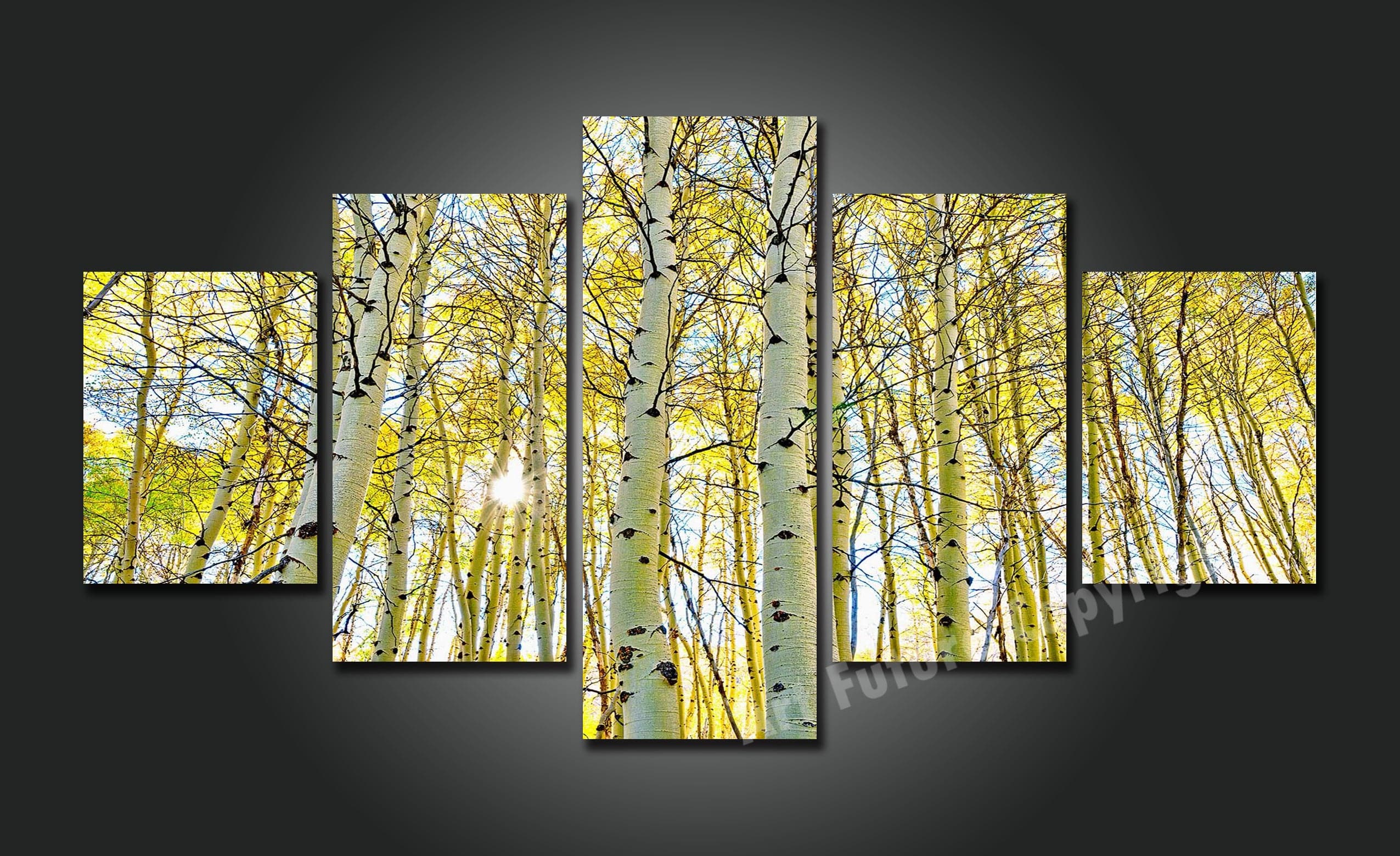 Framed 5 Panels - Golden Forest