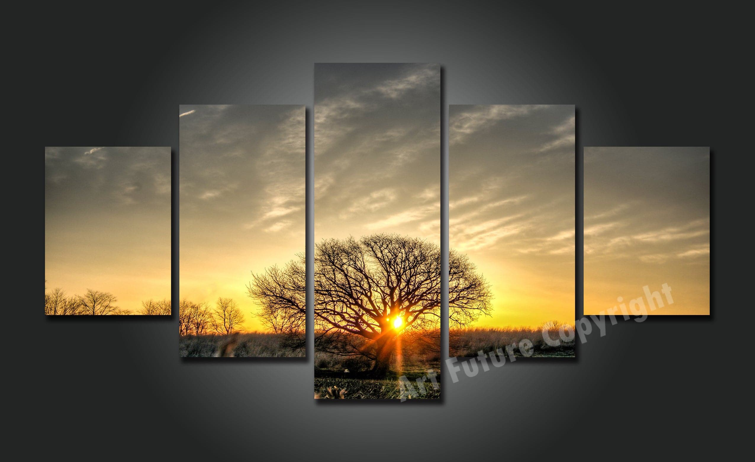 Framed 5 Panels -  Landscape