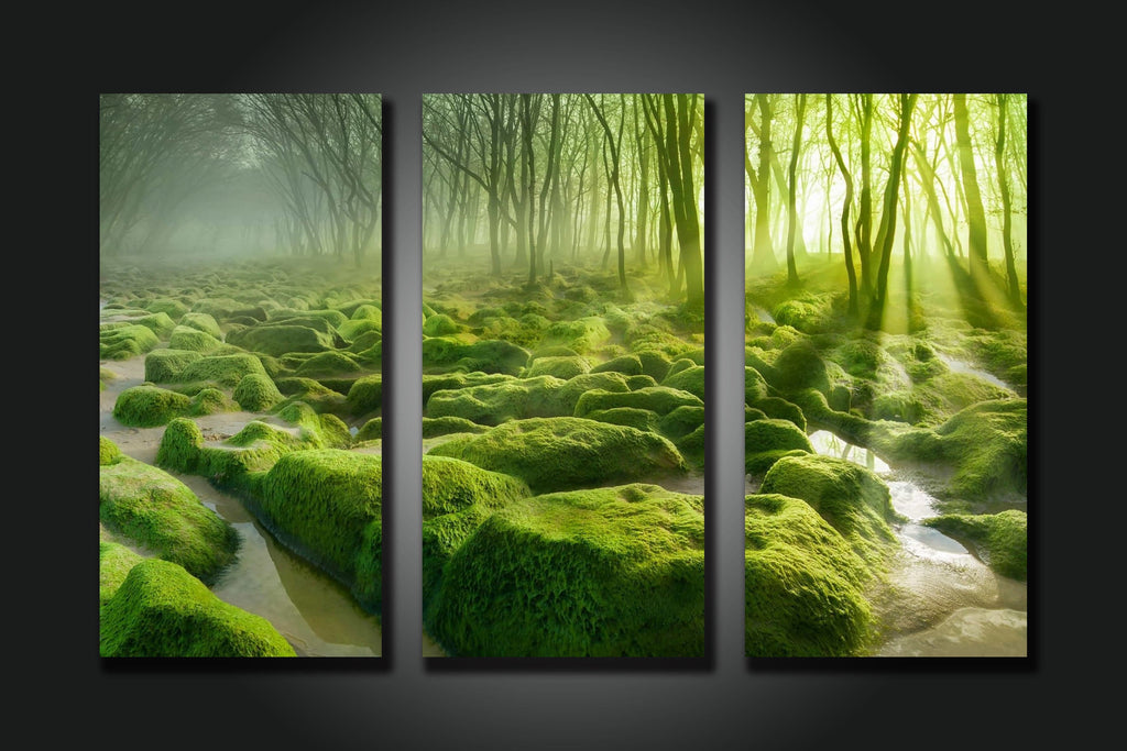 Pine Stretched  Framed 3 Panels - Green is all about