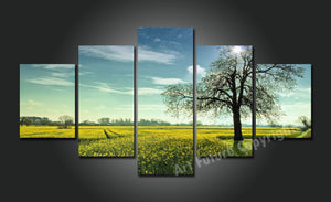 Framed 5 Panels - New Zealand Landscape