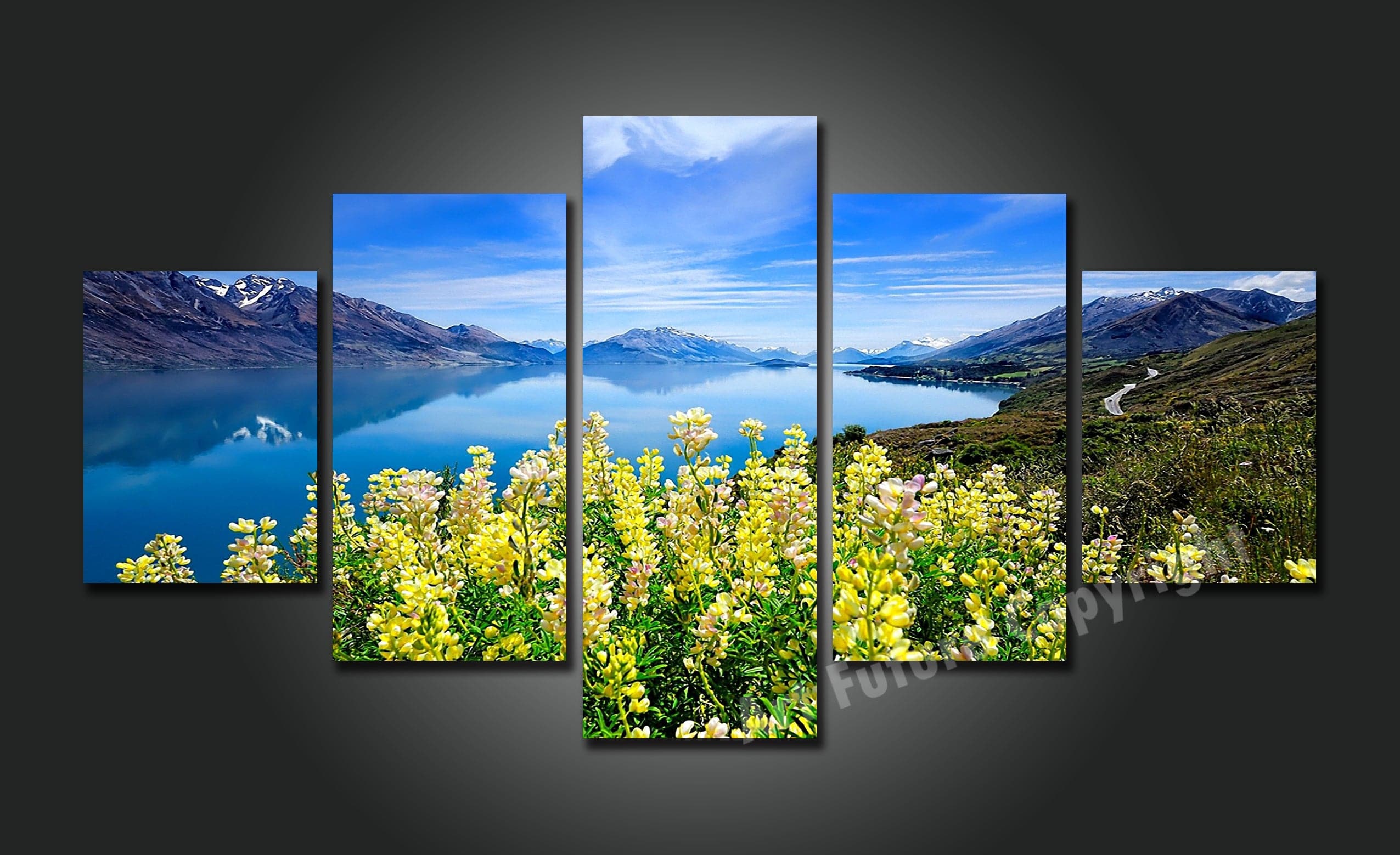 Framed 5 Panels - New Zealand South Island