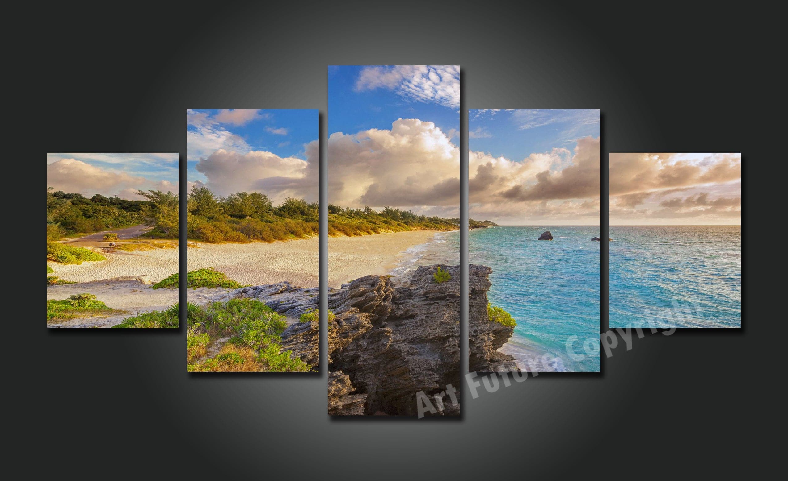 Framed 5 Panels - New Zealand Waipu Beach
