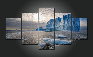 Framed 5 Panels - Antarctica