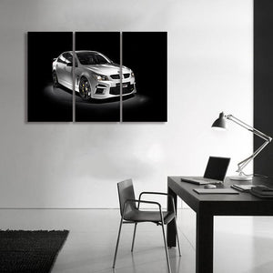 Framed 3 Panels - Holden HSV