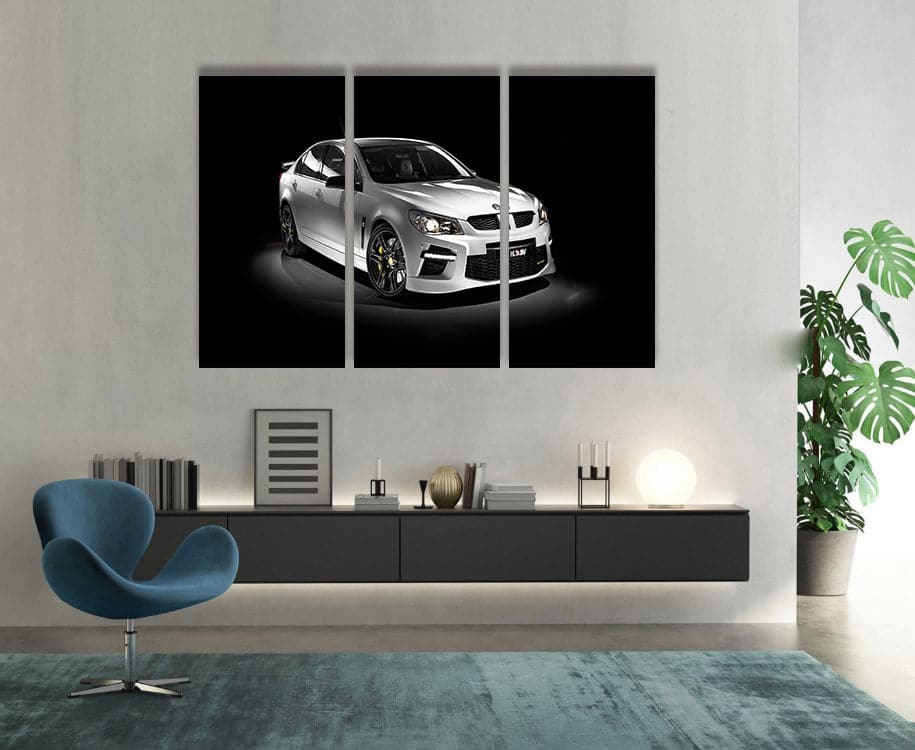 Framed 3 Panels - Holden HSV