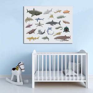 Pine Stretched  Framed 1 Panel  - Kids Room - Cute Shark Various