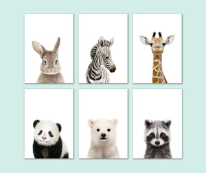 Pine Stretched  Framed 6 Panels - Kids Room - Set of Cute Animals