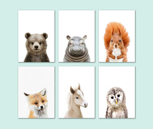 Pine Stretched  Framed 6 Panels - Kids Room - Set of Cute Animals