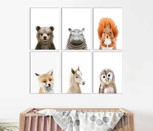 Pine Stretched  Framed 6 Panels - Kids Room - Set of Cute Animals