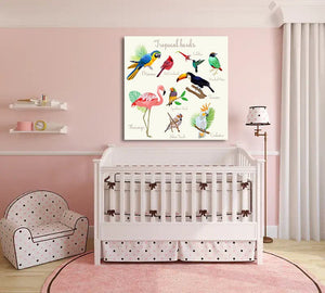 Framed 1 Panel - Kids Room - Tropical Birds