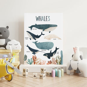 Pine Stretched  Framed 1 Panel  - Kids Room - Whales