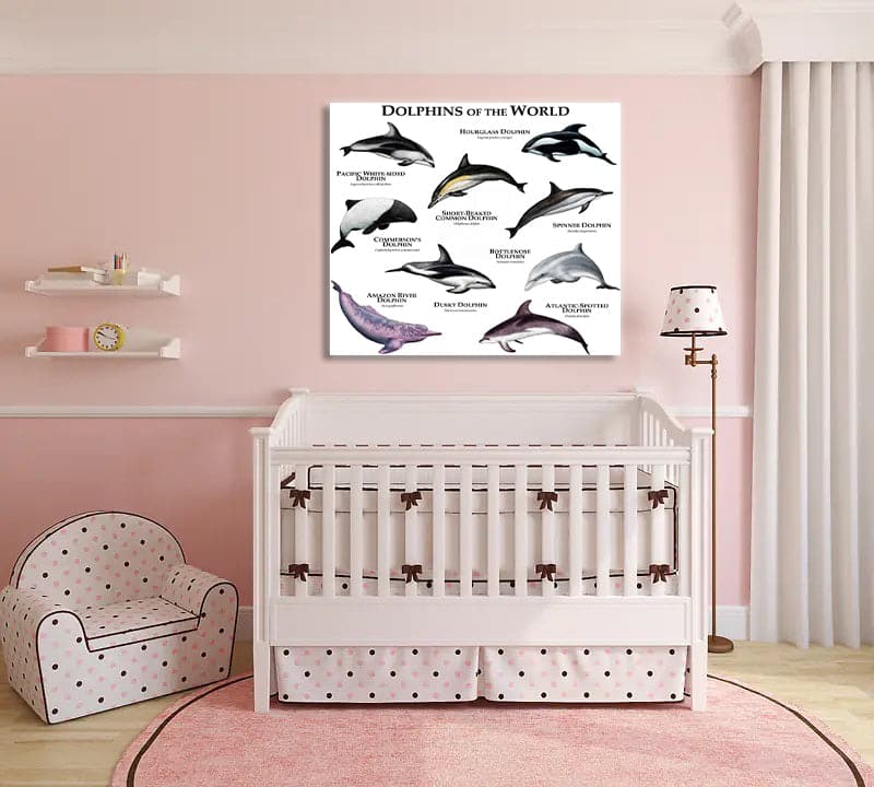 Pine Stretched  Framed 1 Panel - Kids Room - Dolphins of The World