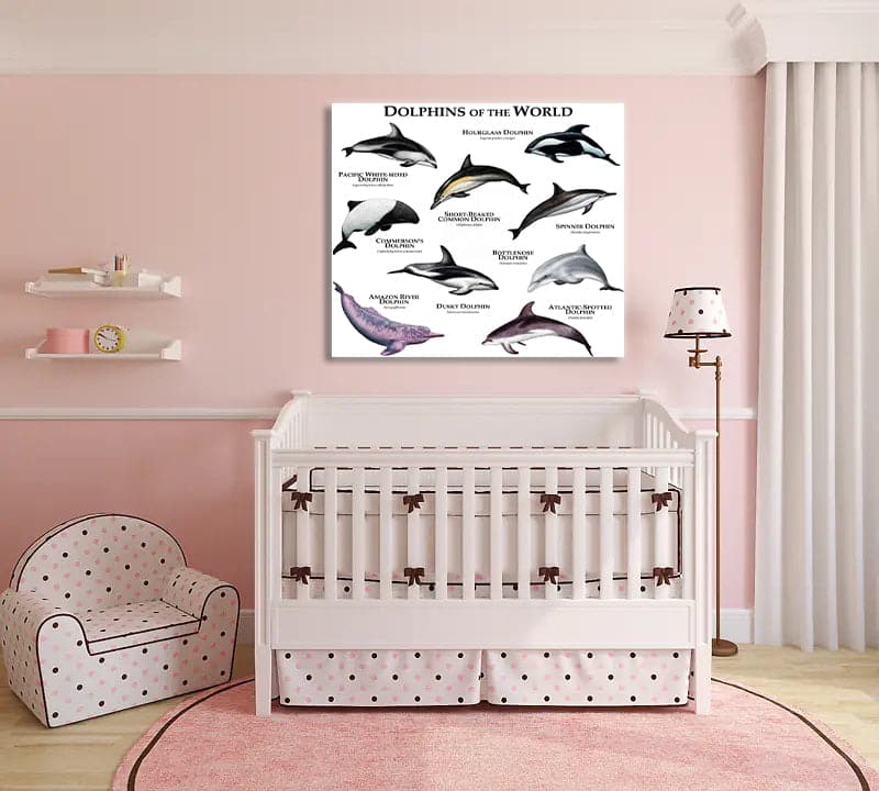 Framed 1 Panel - Kids Room - Dolphins of The World