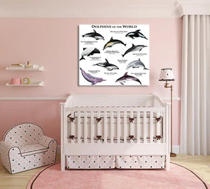 Pine Stretched  Framed 1 Panel - Kids Room - Dolphins of The World
