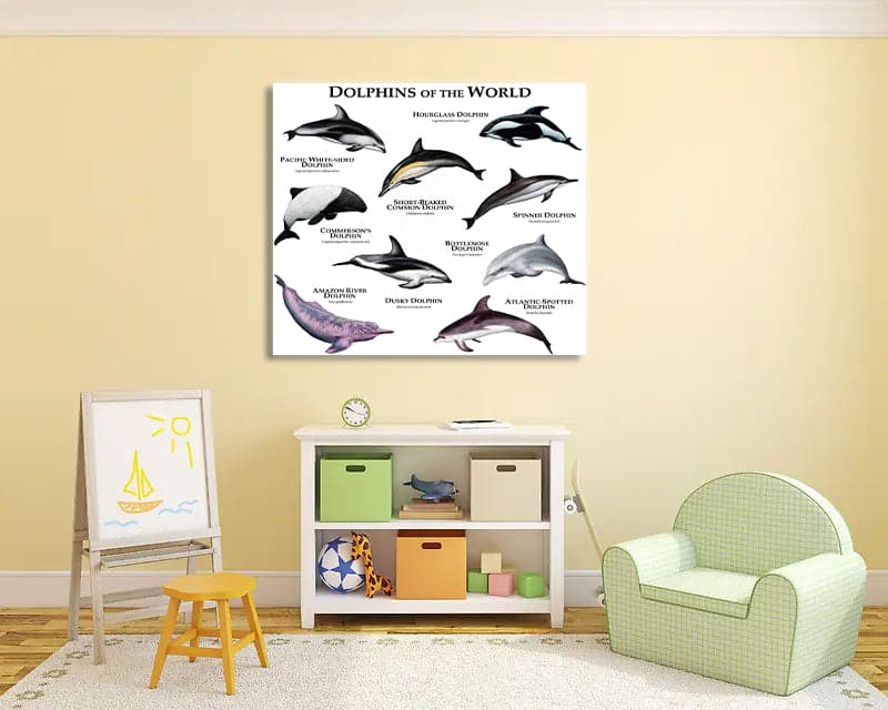 Pine Stretched  Framed 1 Panel - Kids Room - Dolphins of The World