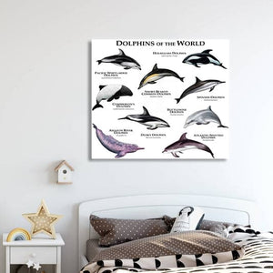 Pine Stretched  Framed 1 Panel - Kids Room - Dolphins of The World
