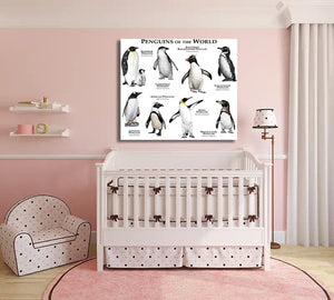Framed 1 Panel - Kids Room - Penguins of The World