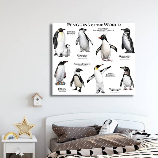 Pine Stretched  Framed 1 Panel - Kids Room - Penguins of The World