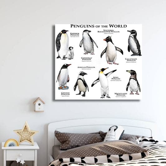 Framed 1 Panel - Kids Room - Penguins of The World